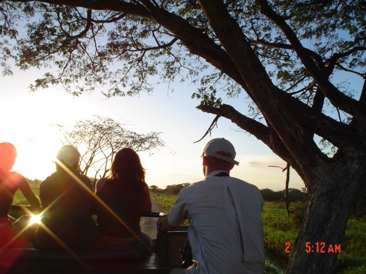 Travel in the back of a truck