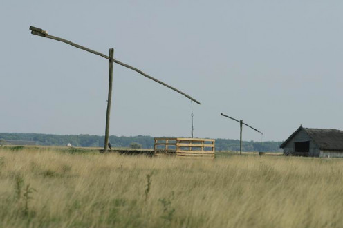 The Puszta at Hortobagy