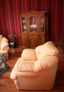 Sofa beds serve dual purposes decorating a studio apartment.