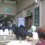 Outside the Dermatology Section, ground floor of PGH