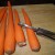 Carrot Carrot