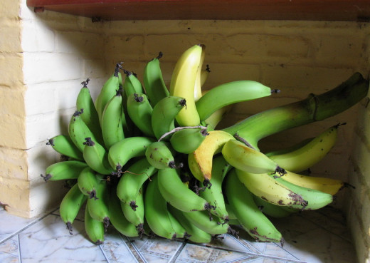 A bunch of Bananas 