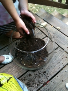Step 3 - Add potting soil to cover the bottom third of the fishbowl 