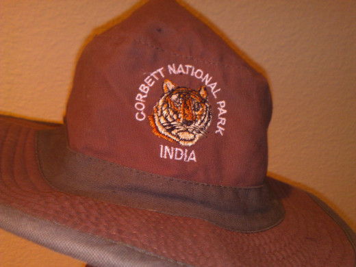 My memorablia from the Jim Corbett National Park, Nainital, India