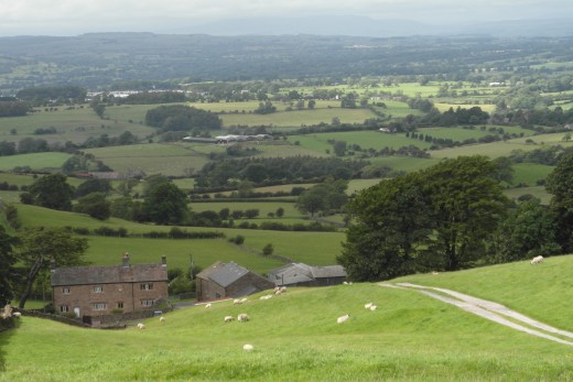 View north from Pendle Road