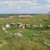 A fairy ring of stones. A fairy ring of stones.