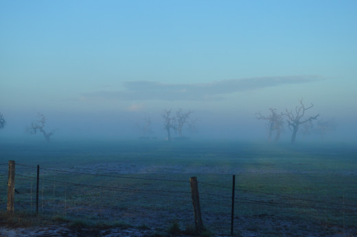  and ghost farms. I have never been in a landscape so eerily quiet. 