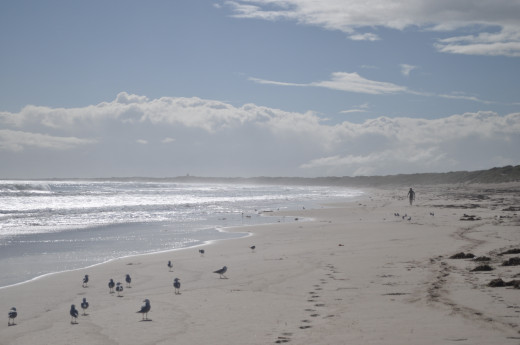 Track winds through coastal plains,