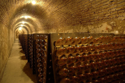 Louis Roederer Champagne Cellar