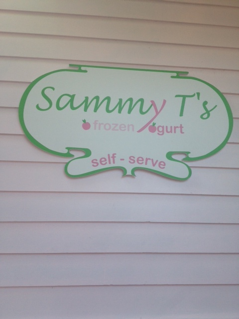 Located on the side of Sammy T's Light Food and Ale is a fun little yogurt shop