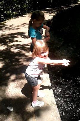 Feeding fish at the trout hatchery