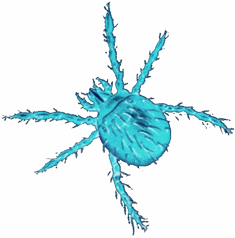 A photoshopped chigger. They aren't actually blue, but they will make you feel that way.