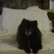 Teddy Barker profile image