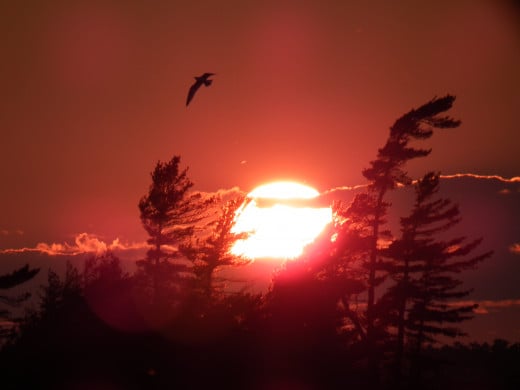 Spectacular sunset on Georgian Bay, Ontario, Canada