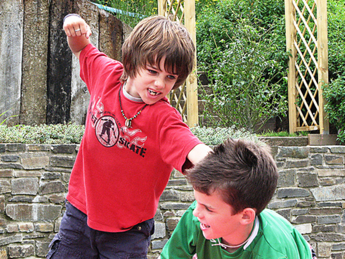 Childhood aggression can mimic parental behavior
