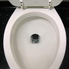If you are having trouble with your toilet draining, one of the possible causes could be roots in the system.