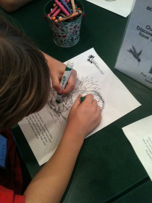 Education about sustainability is one of the most important missions of a green school.