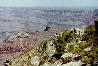 The Grand Canyon