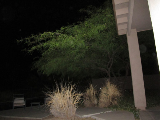 A quiet night scene with the temps below 100*