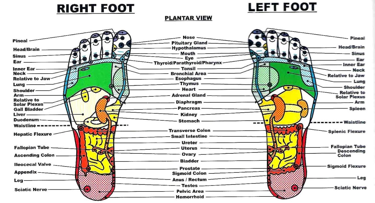 Foot Hand Reflexology Chart