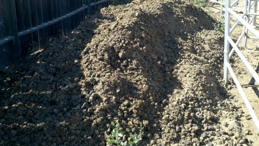 Our horse manure pile on the side of our yard.