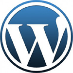 Inserting a PDF into WordPress -  A Simple How To