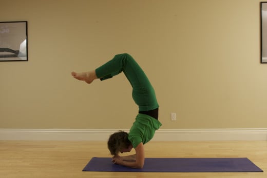 Vrishikasana, or Scorpion, is an advanced inversion that strengthens the upper body, relaxes the heart, reverses the effects of gravity on the body, and tones the organs. 