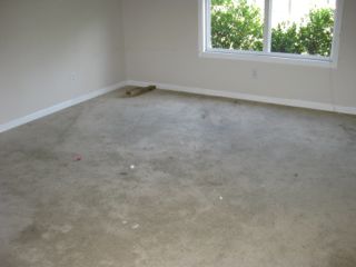 pic of dirty carpet