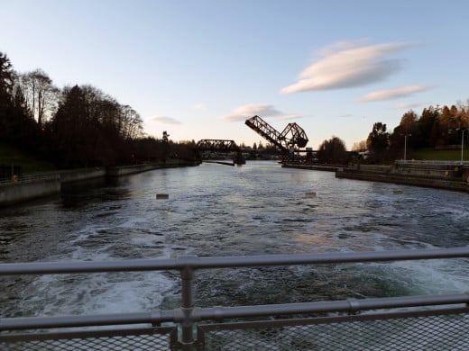 Crisp winter day at the Ballard Locks.