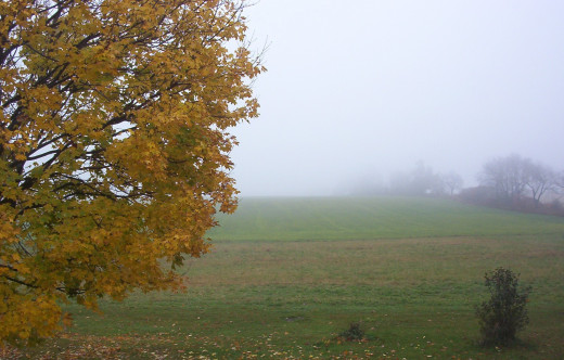 Mid fall in Millbrook, Ontario.  Photo taken October 25, 2010