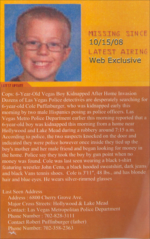 Cole Puffinburgers missing child flyer