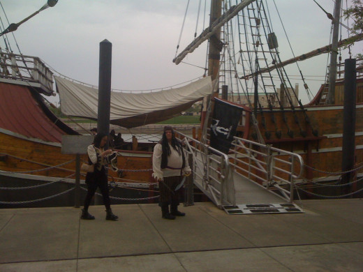 Avast ye swabs!  Do you suppose pirates like hubnuggets as much as gold nuggets?