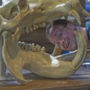 R Trenton Bostic profile image