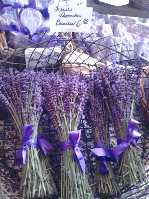 Fresh Lavender