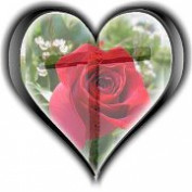 Patti Lathrop profile image