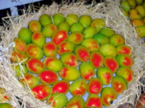 Red Mangoes