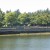 Looking into Stanley Park Looking into Stanley Park