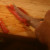 Slicing the pepper into strips is fun and easy. 8 strips will make a nice star on your omelet. Slicing the pepper into strips is fun and easy. 8 strips will make a nice star on your omelet.