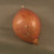 A whole shallot - a sweet, mild cousin to garlic and onion - is a beautiful amber gold. A whole shallot - a sweet, mild cousin to garlic and onion - is a beautiful amber gold.