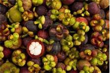 Mangosteen fruit