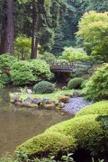 Designing A Feng Shui Garden
