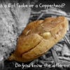 Is It a Rat Snake, Chicken Snake, or a Copperhead?