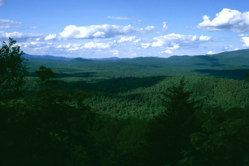 View from Panther Trail, Adirondack State Park, New York