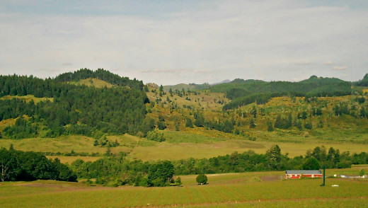 View From King Estate Winery