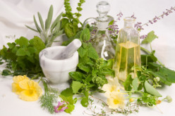 The Healing Power of Herbs: Do They Really Work?