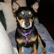 Maggie From OZ profile image