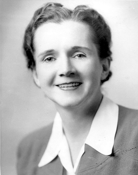 Rachel Carson as a government employee.