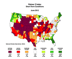 Palmer Z Index