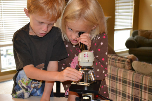 Our kids love the microscope I received for free on freecycle.org