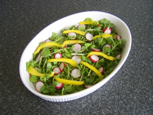 Bell pepper is arranged on watercress salad